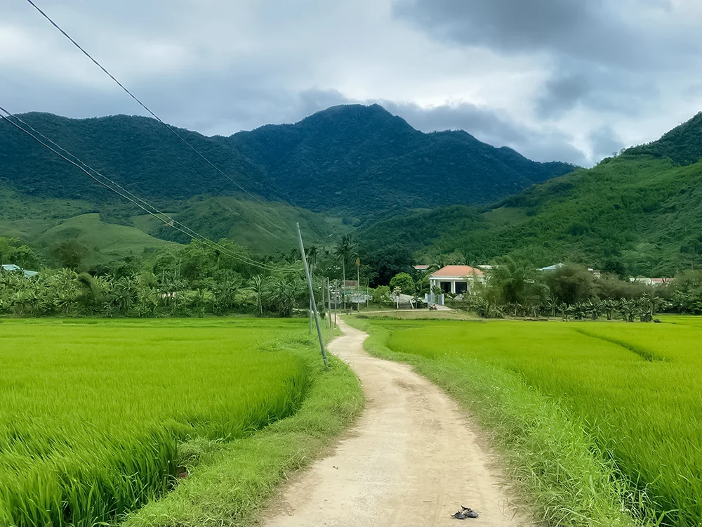 Da Nang Countryside Bike Tour
